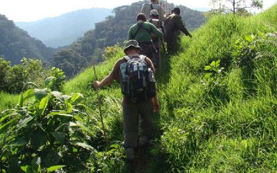 Volcanoes National Park: Rwanda’s Mountain Gorilla Kingdom
