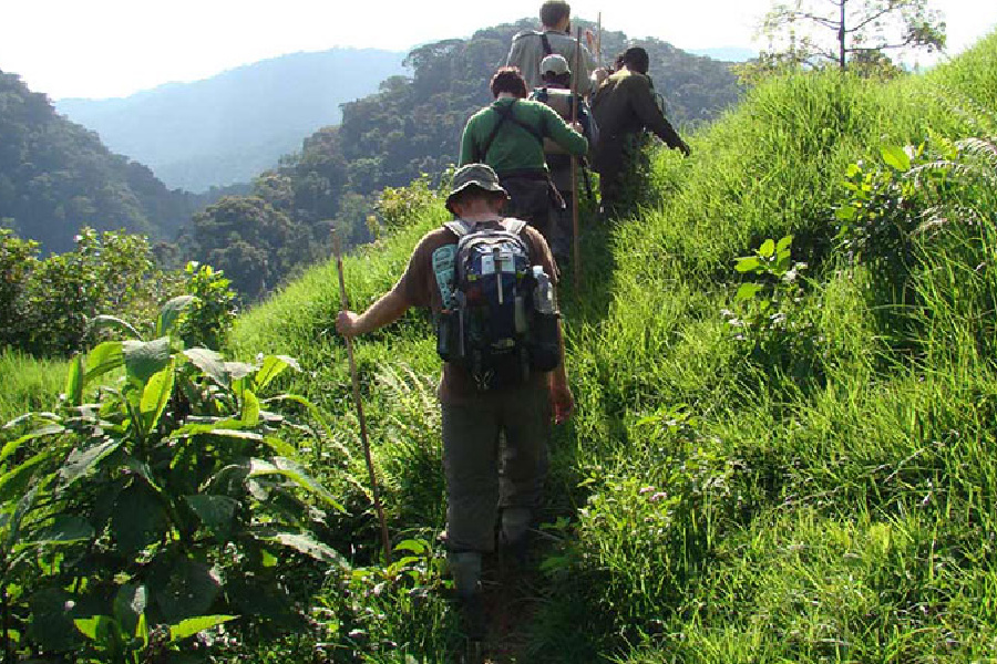 image_game_drives_akagera_national_park