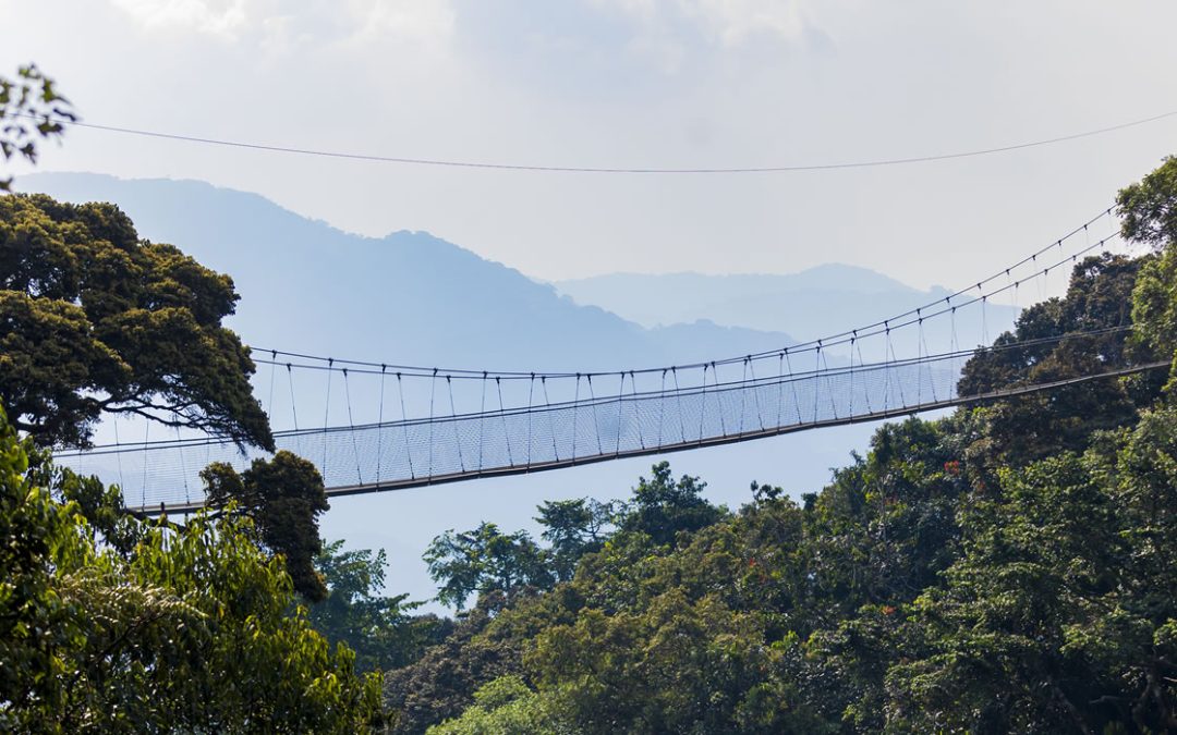 10 Days Ultimate Rwanda Experience